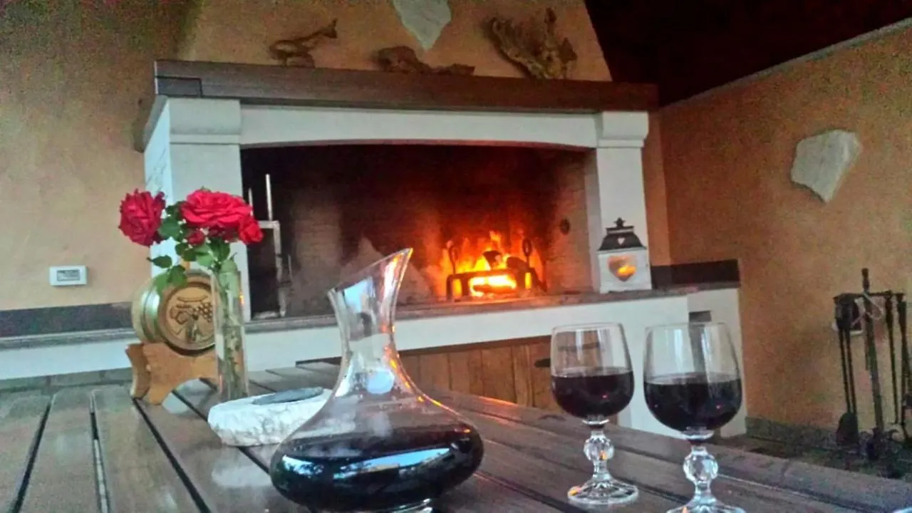 Haus Delphin Appartement Poreč